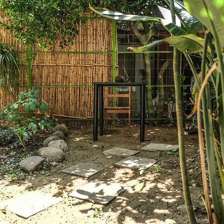 Chill Green Beautiful Downtown Area Tv Good Wifi Oaxaca Exterior photo