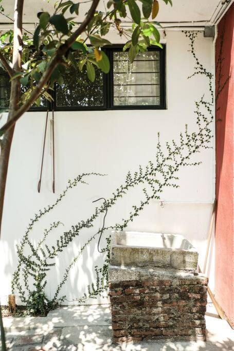 Chill Green Beautiful Downtown Area Tv Good Wifi Oaxaca Exterior photo