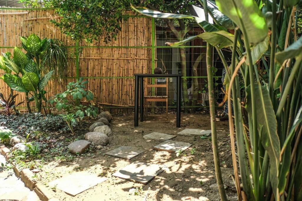 Chill Green Beautiful Downtown Area Tv Good Wifi Oaxaca Exterior photo