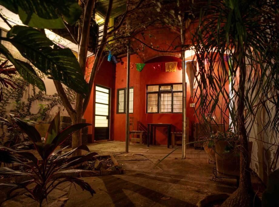 Chill Green Beautiful Downtown Area Tv Good Wifi Oaxaca Exterior photo
