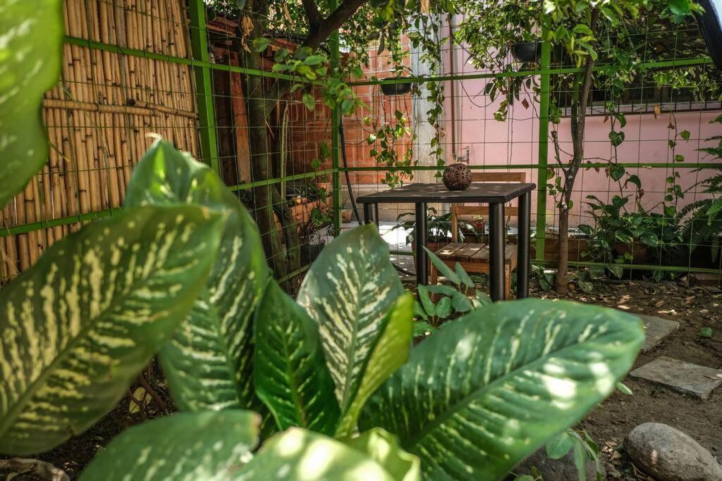 Chill Green Beautiful Downtown Area Tv Good Wifi Oaxaca Exterior photo